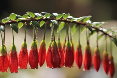 深圳私人快速借钱网，轻松解决资金难题