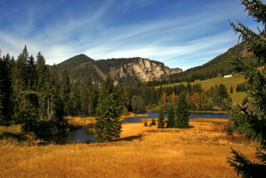 深圳民间私贷攻略：揭秘低成本借贷的秘密